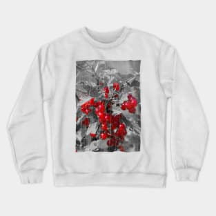 Redcurrant Crewneck Sweatshirt